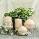 Stumpen Kugel Kerzen Rosenkranz Perlmutt lachs