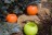 Gartenkerze Outdoorkerze Kugel Romantik 15cm orange