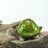 Set Keramik Schnecke Frosch Schildkröte glasiert