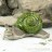 Set Keramik Schnecke Frosch Schildkröte glasiert