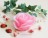 Rosenkerze Rosenblüte - rosa