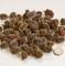 Dekoration Casuarina Zapfen 100g Beutel