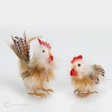 Feder Hahn Henne Karo  8-10cm