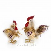 Feder Hahn Henne Karo  12-14cm