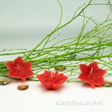 3er Set Schwimmkerzen Blatt rot